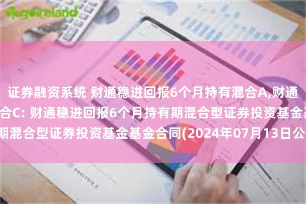 证券融资系统 财通稳进回报6个月持有混合A,财通稳进回报6个月持有混合C: 财通稳进回报6个月持有期混合型证券投资基金基金合同(2024年07月13日公告)