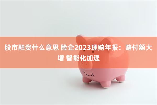 股市融资什么意思 险企2023理赔年报：赔付额大增 智能化加速