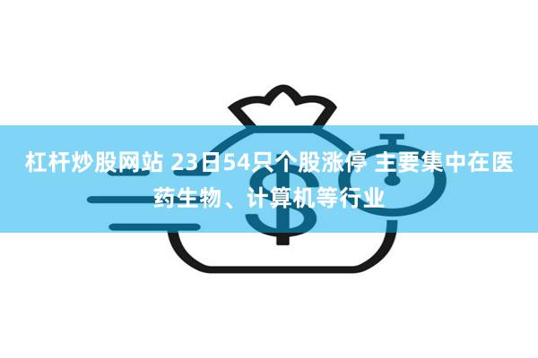 杠杆炒股网站 23日54只个股涨停 主要集中在医药生物、计算机等行业