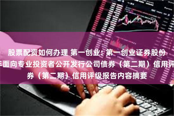 股票配资如何办理 第一创业: 第一创业证券股份有限公司2024年面向专业投资者公开发行公司债券（第二期）信用评级报告内容摘要