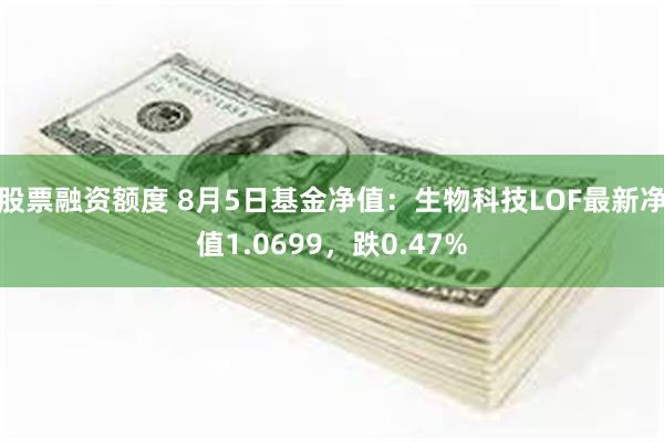 股票融资额度 8月5日基金净值：生物科技LOF最新净值1.0699，跌0.47%