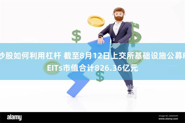 炒股如何利用杠杆 截至8月12日上交所基础设施公募REITs市值合计826.36亿元