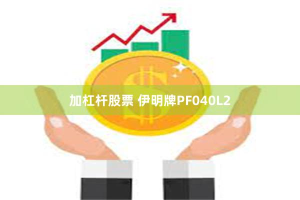 加杠杆股票 伊明牌PF040L2