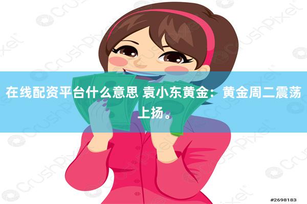 在线配资平台什么意思 袁小东黄金：黄金周二震荡上扬。