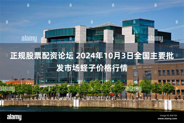 正规股票配资论坛 2024年10月3日全国主要批发市场蛏子价格行情