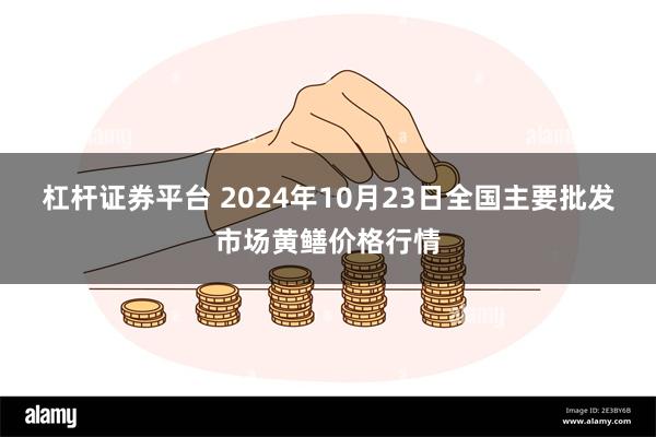 杠杆证券平台 2024年10月23日全国主要批发市场黄鳝价格行情