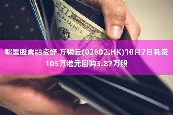 哪里股票融资好 万物云(02602.HK)10月7日耗资105万港元回购3.87万股