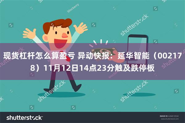 现货杠杆怎么算盈亏 异动快报：延华智能（002178）11月12日14点23分触及跌停板