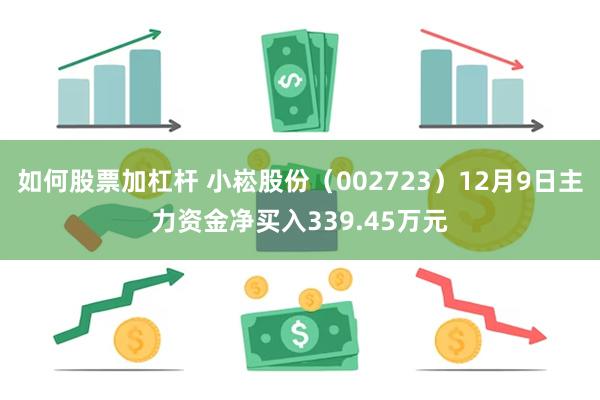 如何股票加杠杆 小崧股份（002723）12月9日主力资金净买入339.45万元