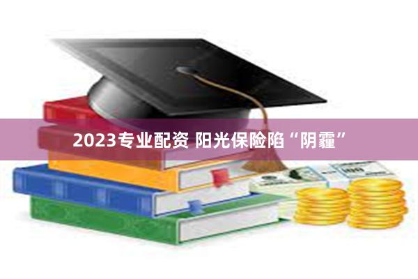 2023专业配资 阳光保险陷“阴霾”