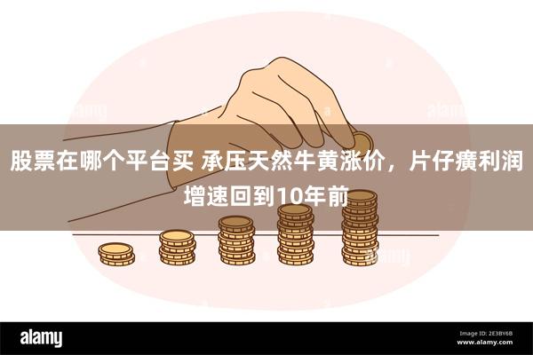 股票在哪个平台买 承压天然牛黄涨价，片仔癀利润增速回到10年前